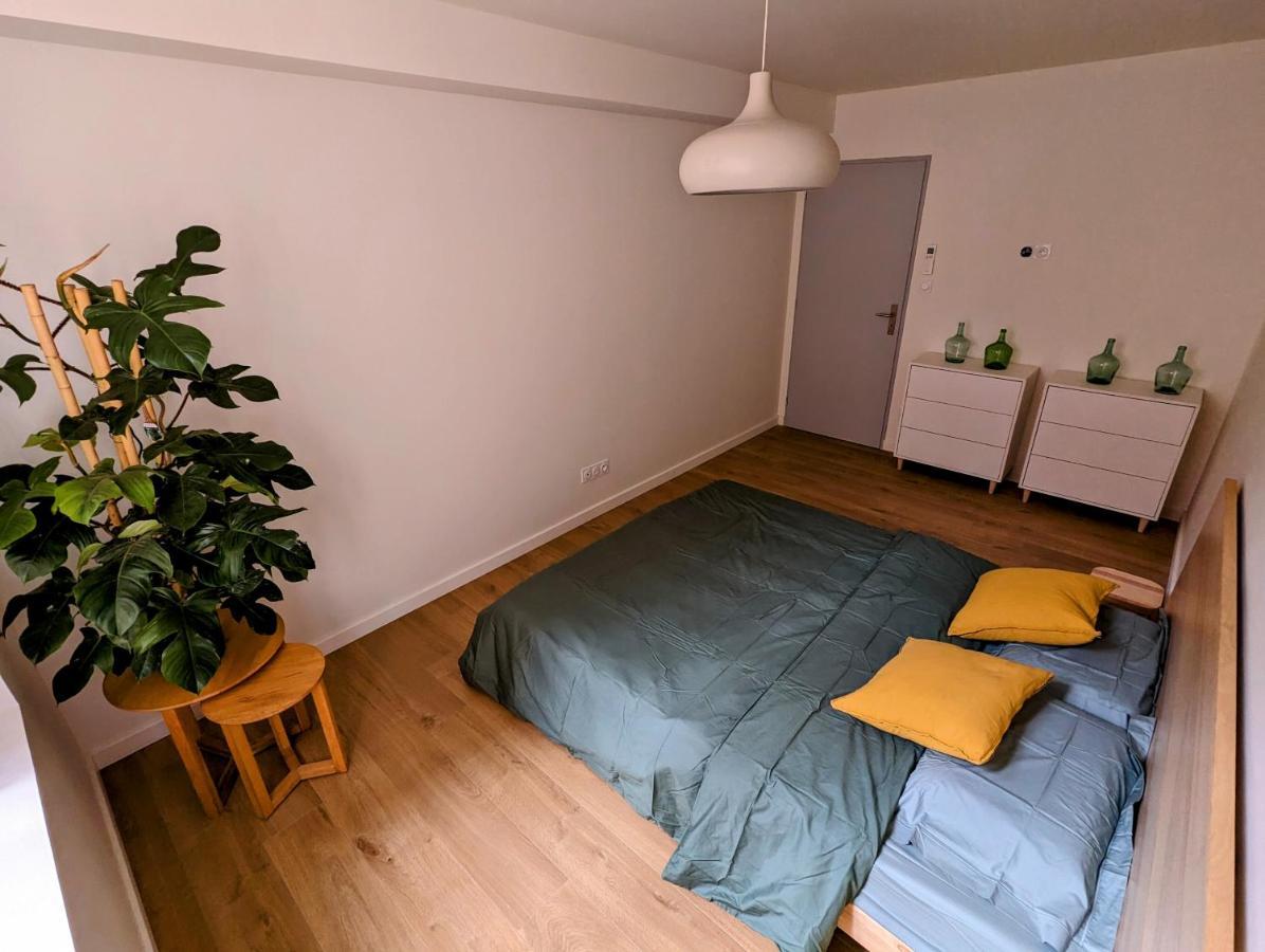 Douceur, Elegance Au Coeur D'Albi Lejlighed Eksteriør billede